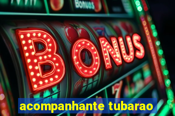 acompanhante tubarao